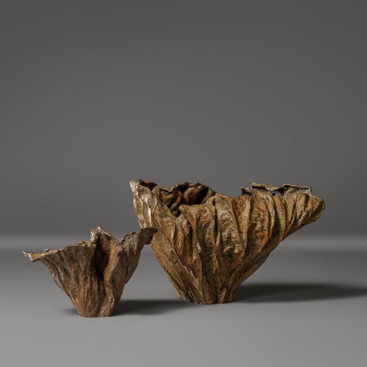 de sousa hughes alexander lamont lost leaf vessels