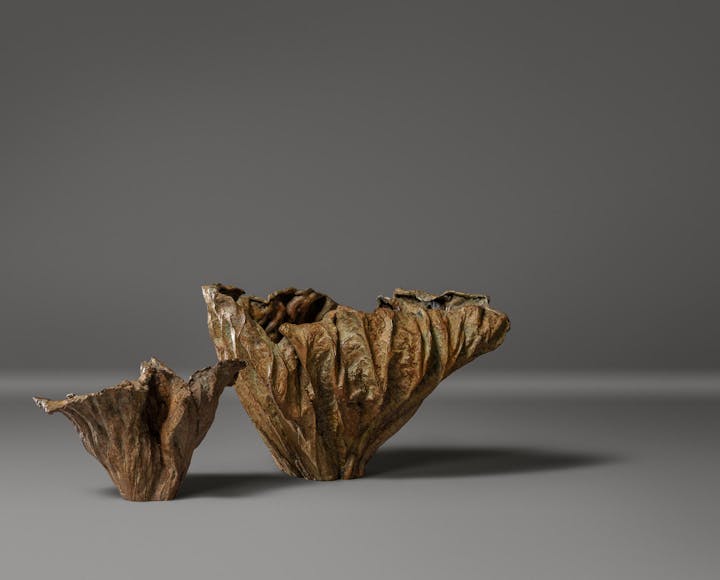 de sousa hughes alexander lamont lost leaf vessels