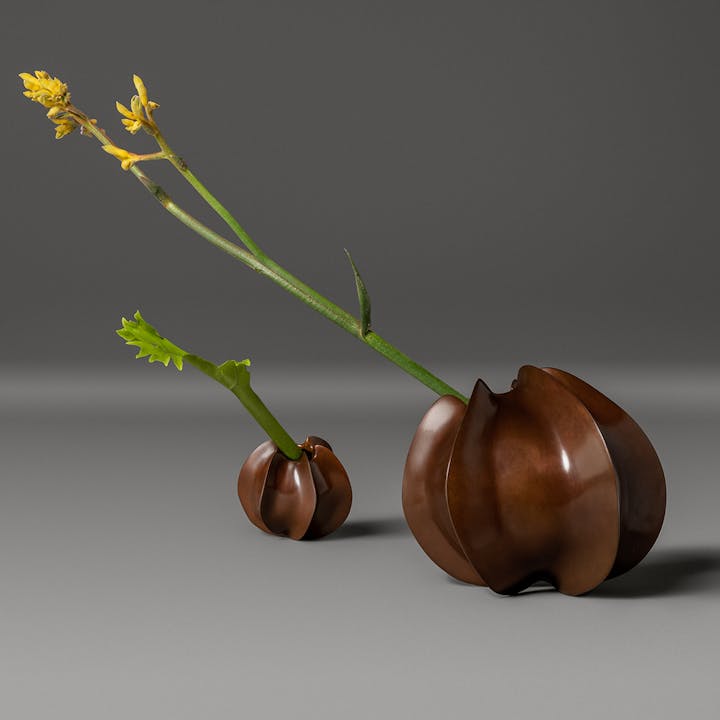 de sousa hughes alexander lamont star vessel starlet vessel