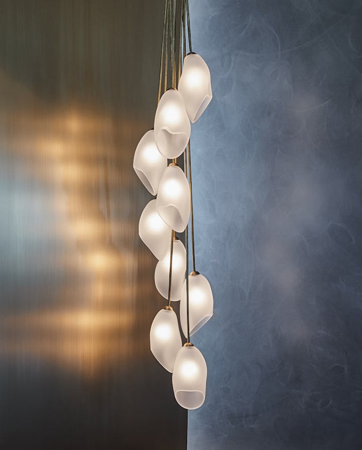 de sousa hughes john pomp moon orchid cascading