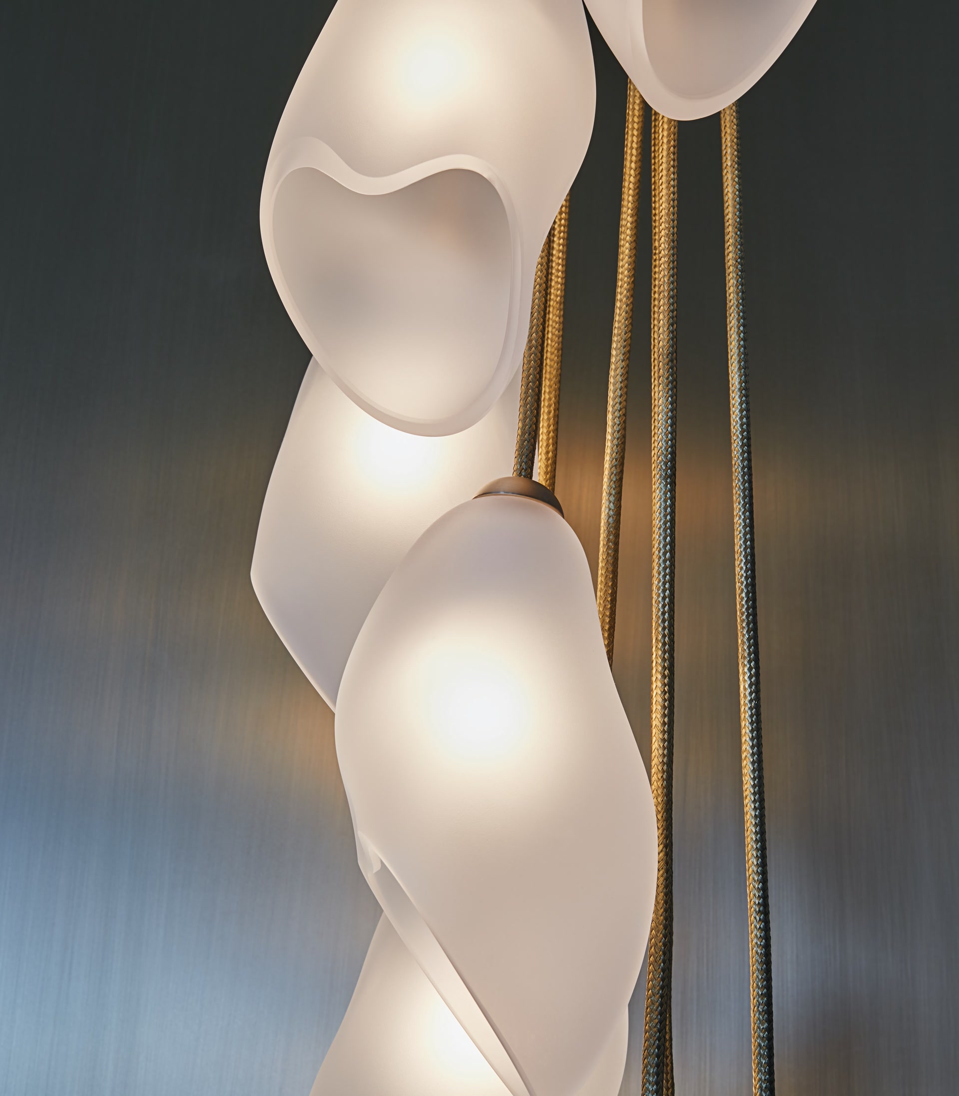 de sousa hughes john pomp moon orchid cascading detail 3