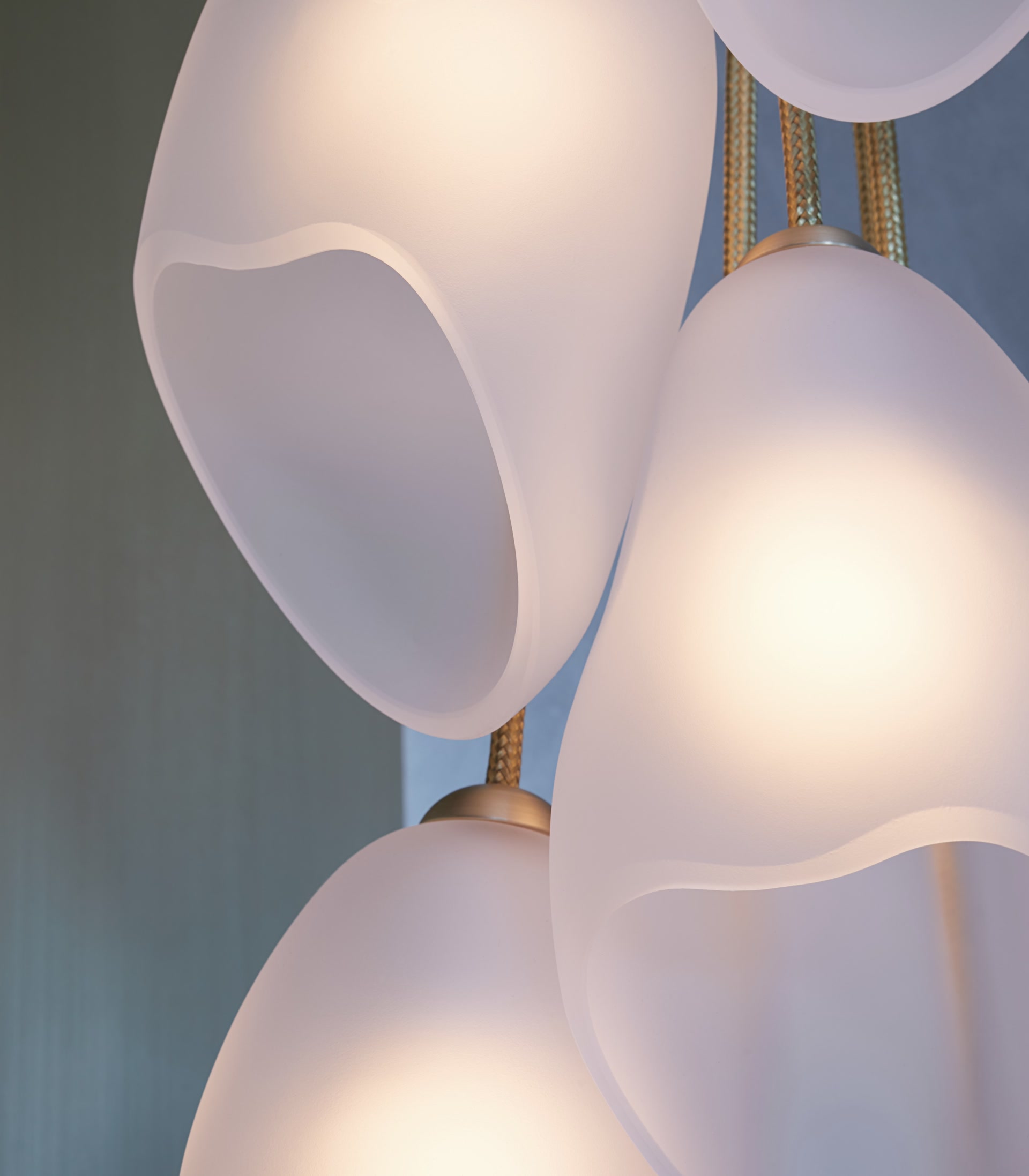 de sousa hughes john pomp moon orchid cascading detail 2