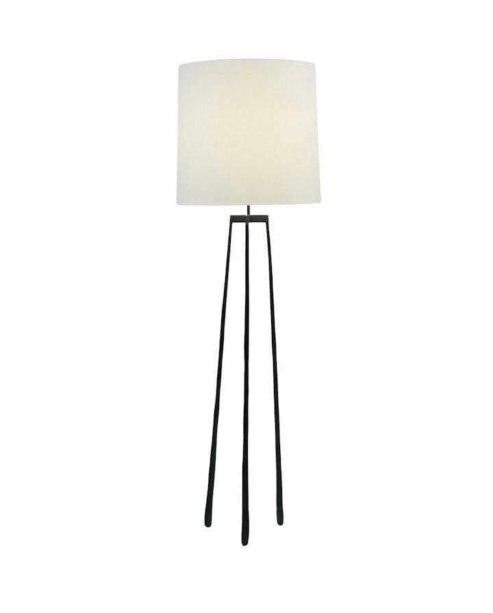 de sousa hughes liaigre L.liseron