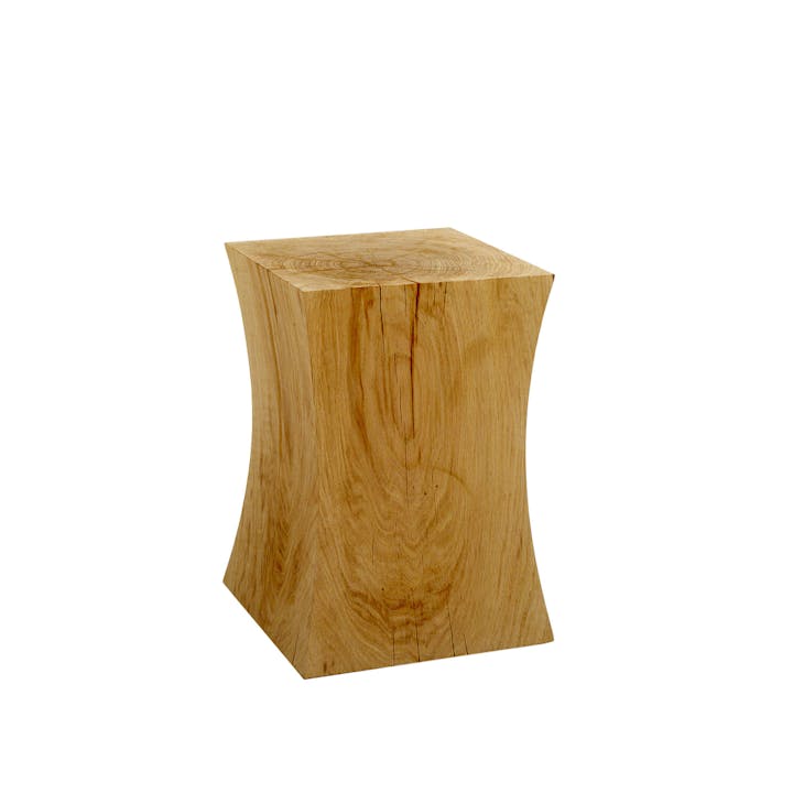 de sousa hughes liaigre OISEAU