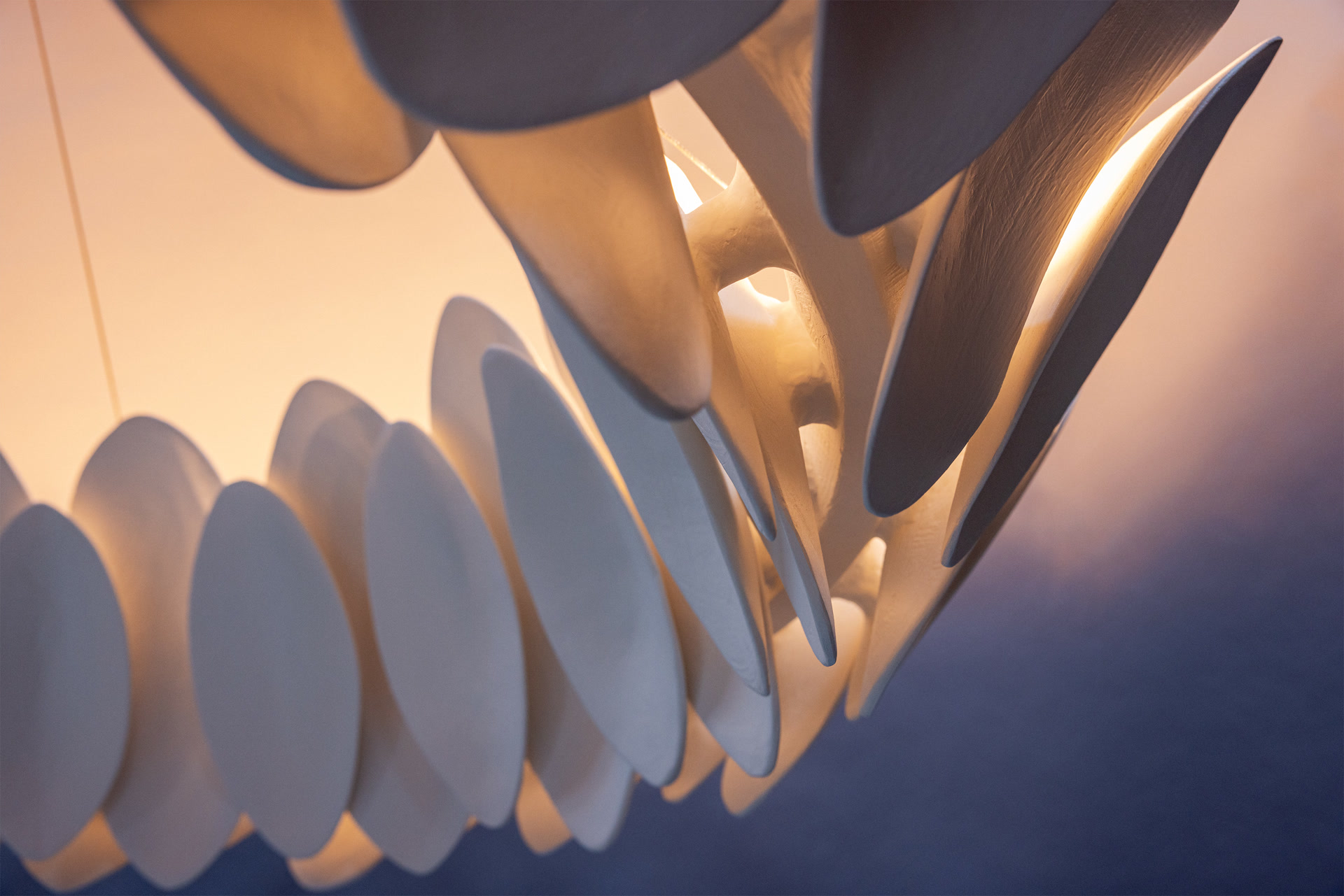 de sousa hughes stephen antonson Petal Chandelier detail 2 illuminated