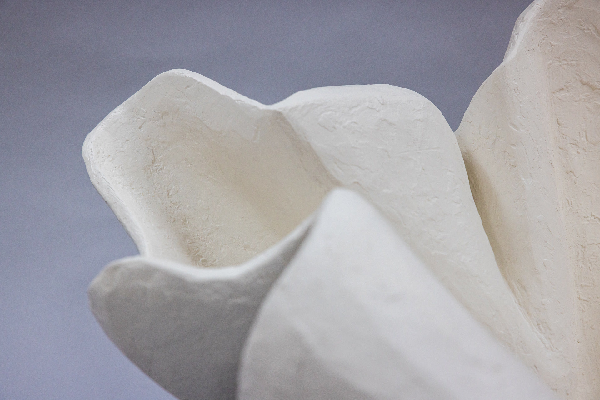 de sousa hughes stephen antonson Rorschach Vessel detail 2