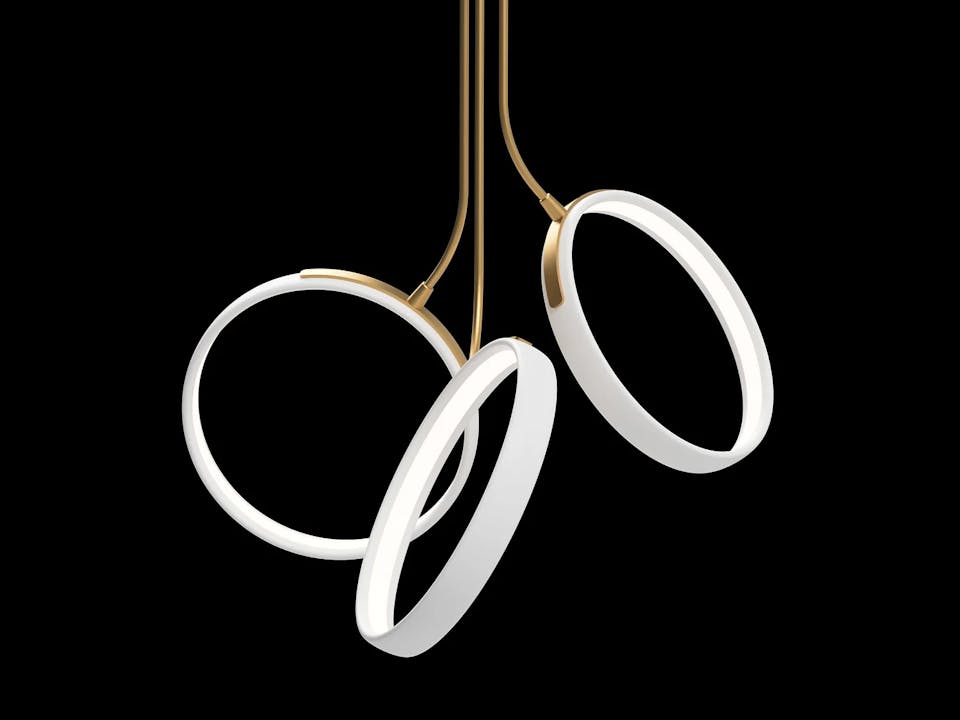 G de sousa hughes ted bradley Bearing Fruit 3 Rings Tilted