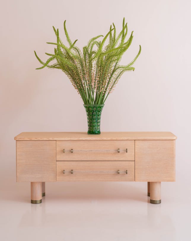 de-sousa-hughes-natasha-baradaran-Rico-cabinet