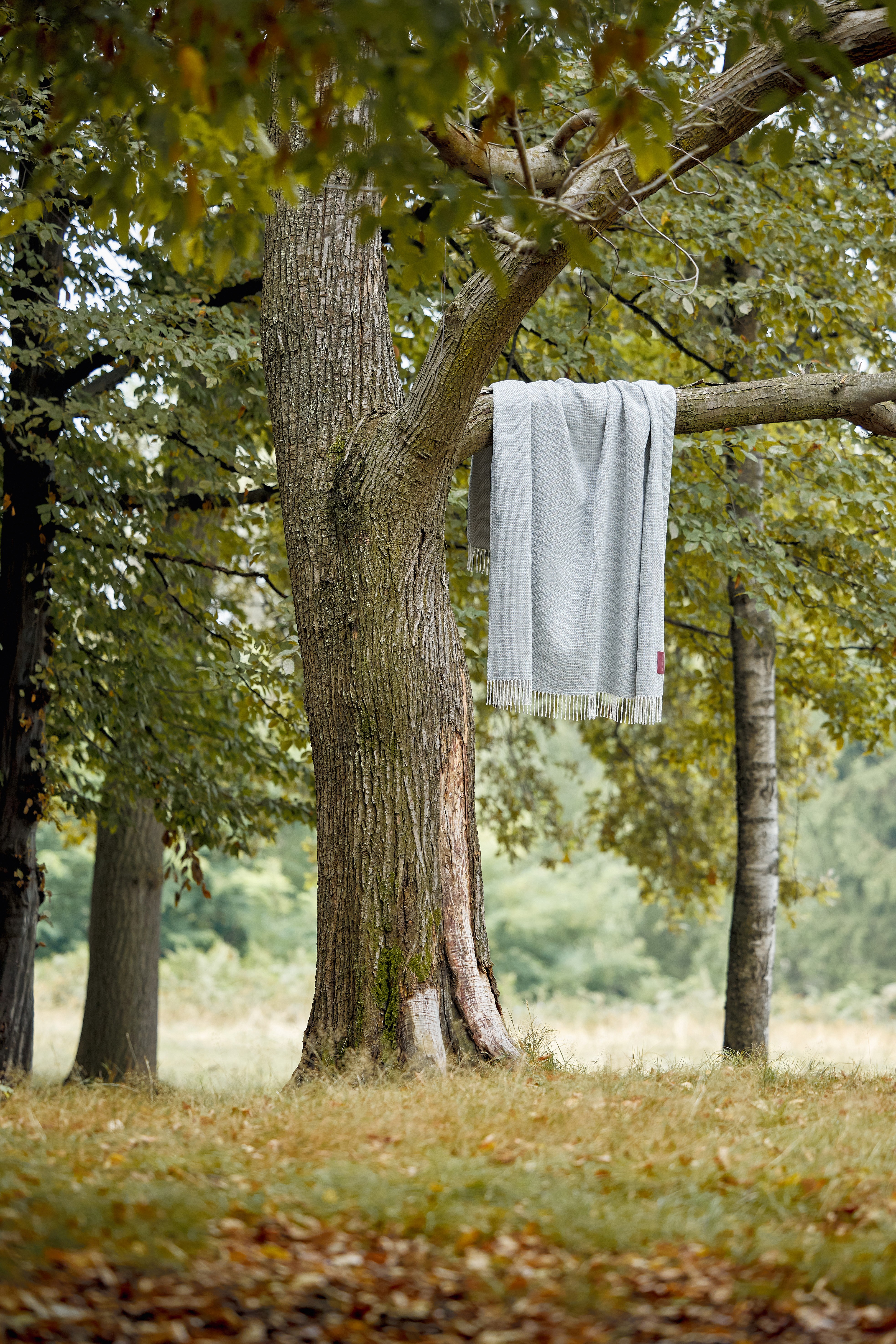 de-sousa-hughes-mariaflora-throws-Plaid-2025 (2)