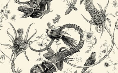 iguana superwide wallpaper