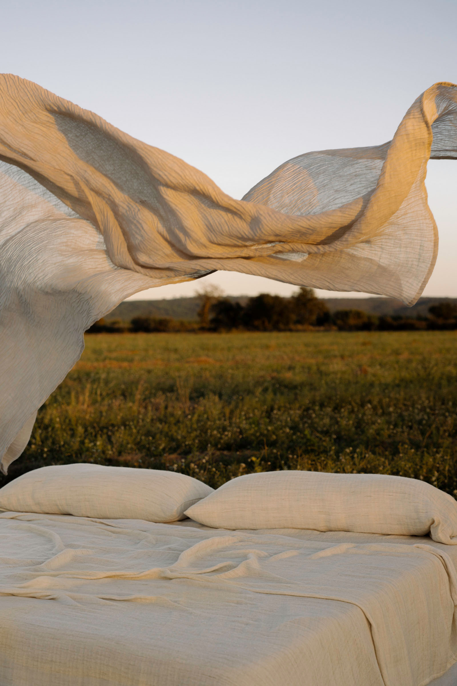 cE de sousa hughes ALHAMBRA SILENZIO 18