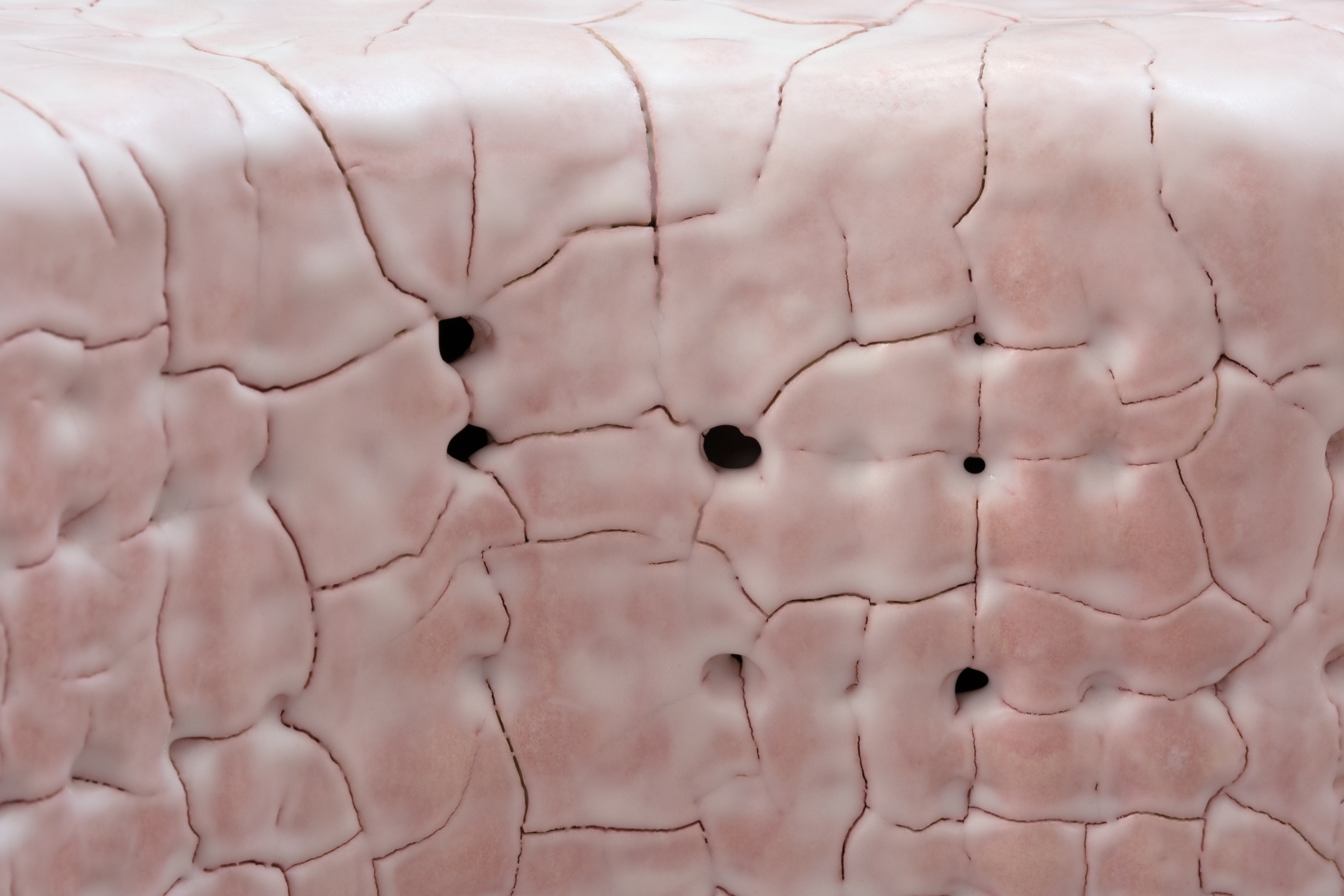 6j1DSXoezgxb  de sousa hughes Scott Daniel Design Ceramic Starfish Table Pink top detail 3