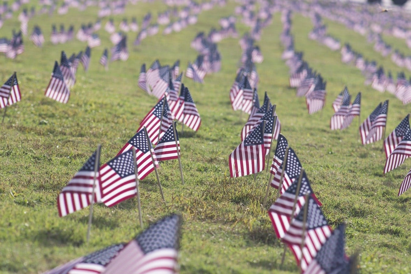 Flags for Vets