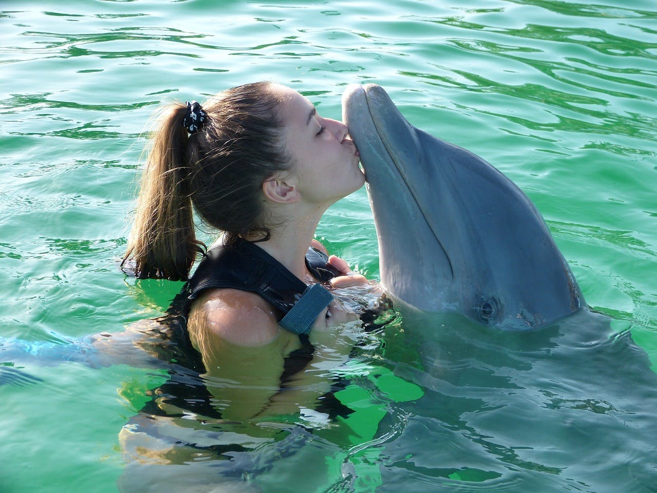 Photo Blue Lagoon Island - Bahamas