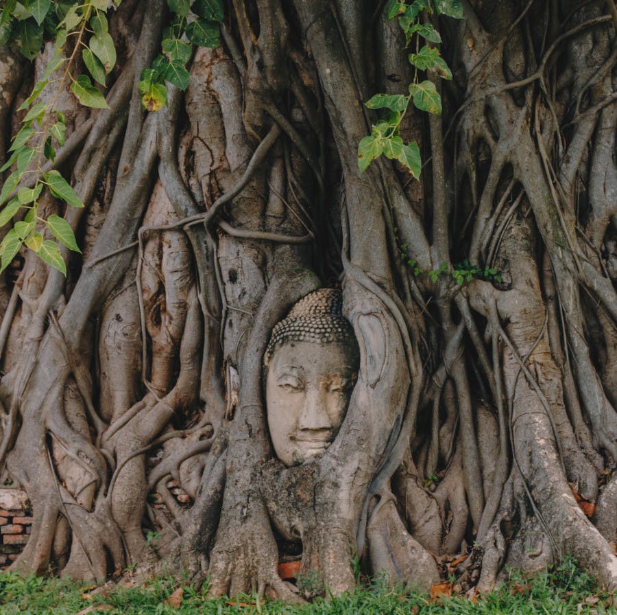 Photo Les ruines d'Ayutthaya - Thaïlande