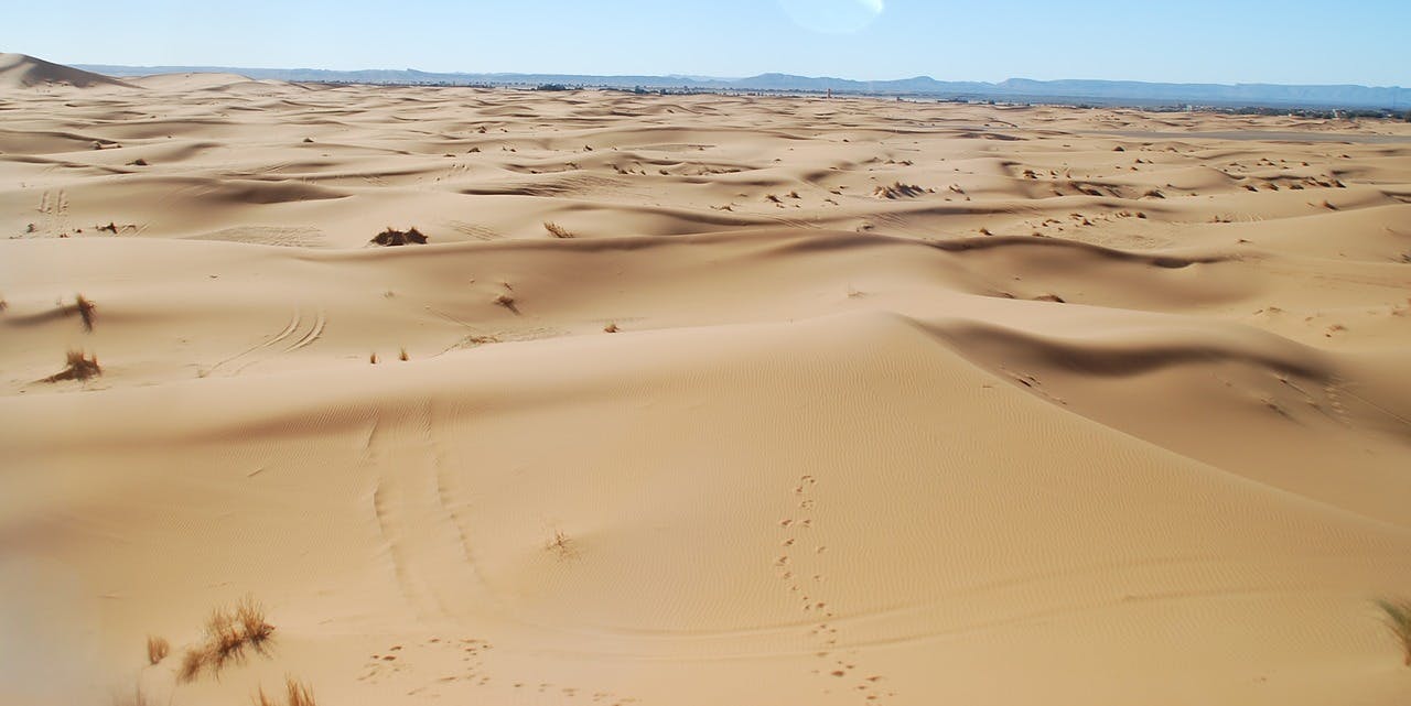 Photo Excursion organisée à Merzouga - Maroc