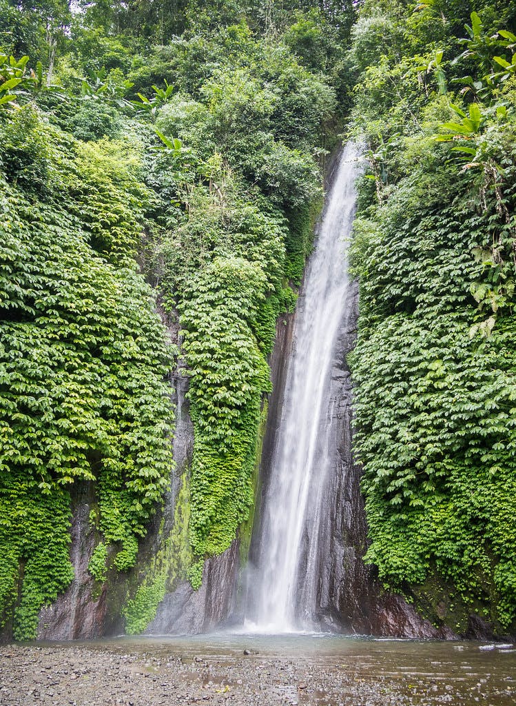 Photo Munduk - Indonésie