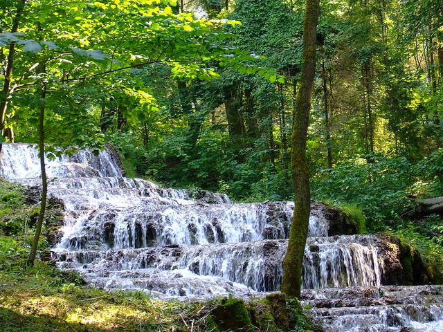 Photo Parc National de Bukk - Hongrie