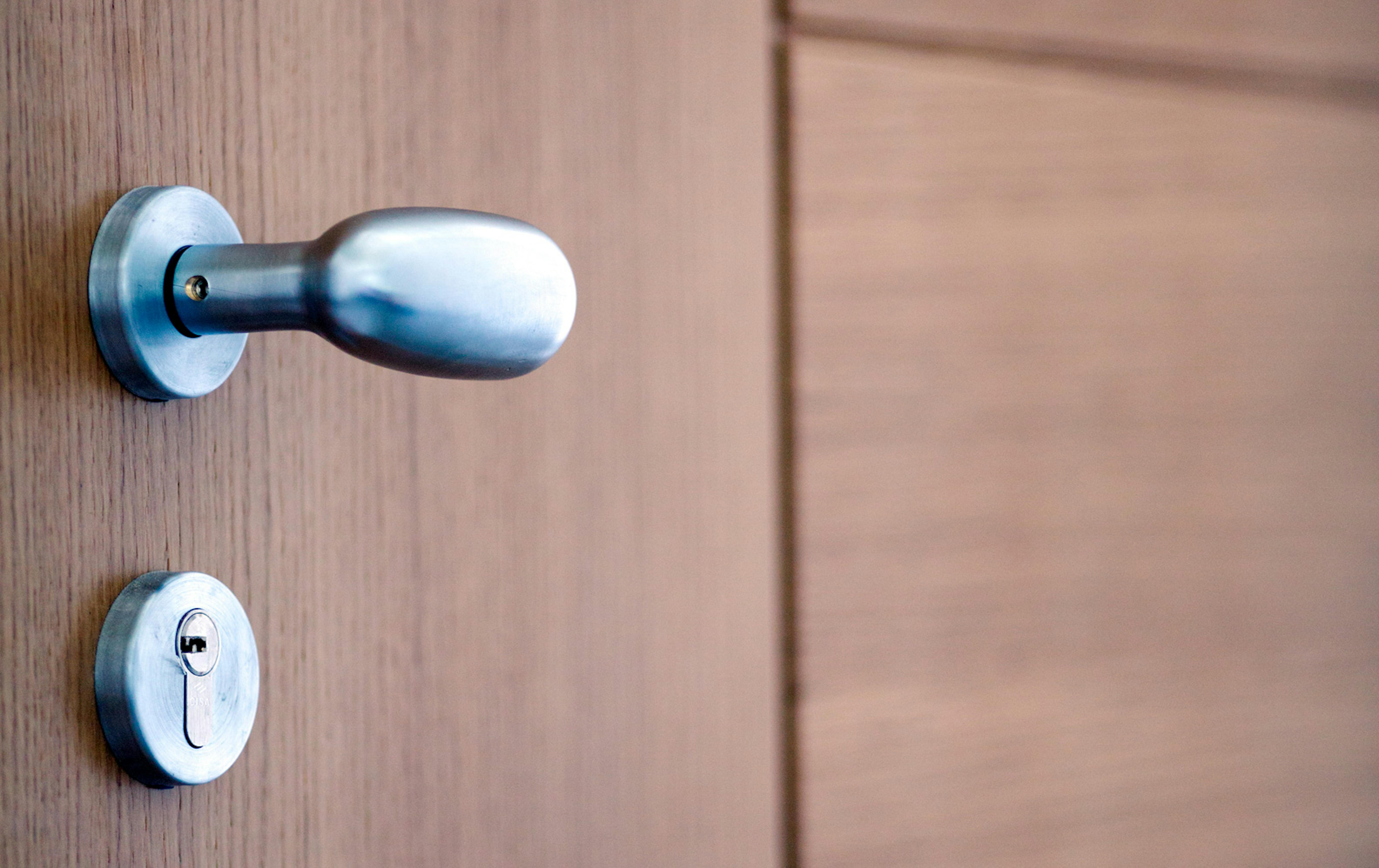 Close-up of entrance door handle.