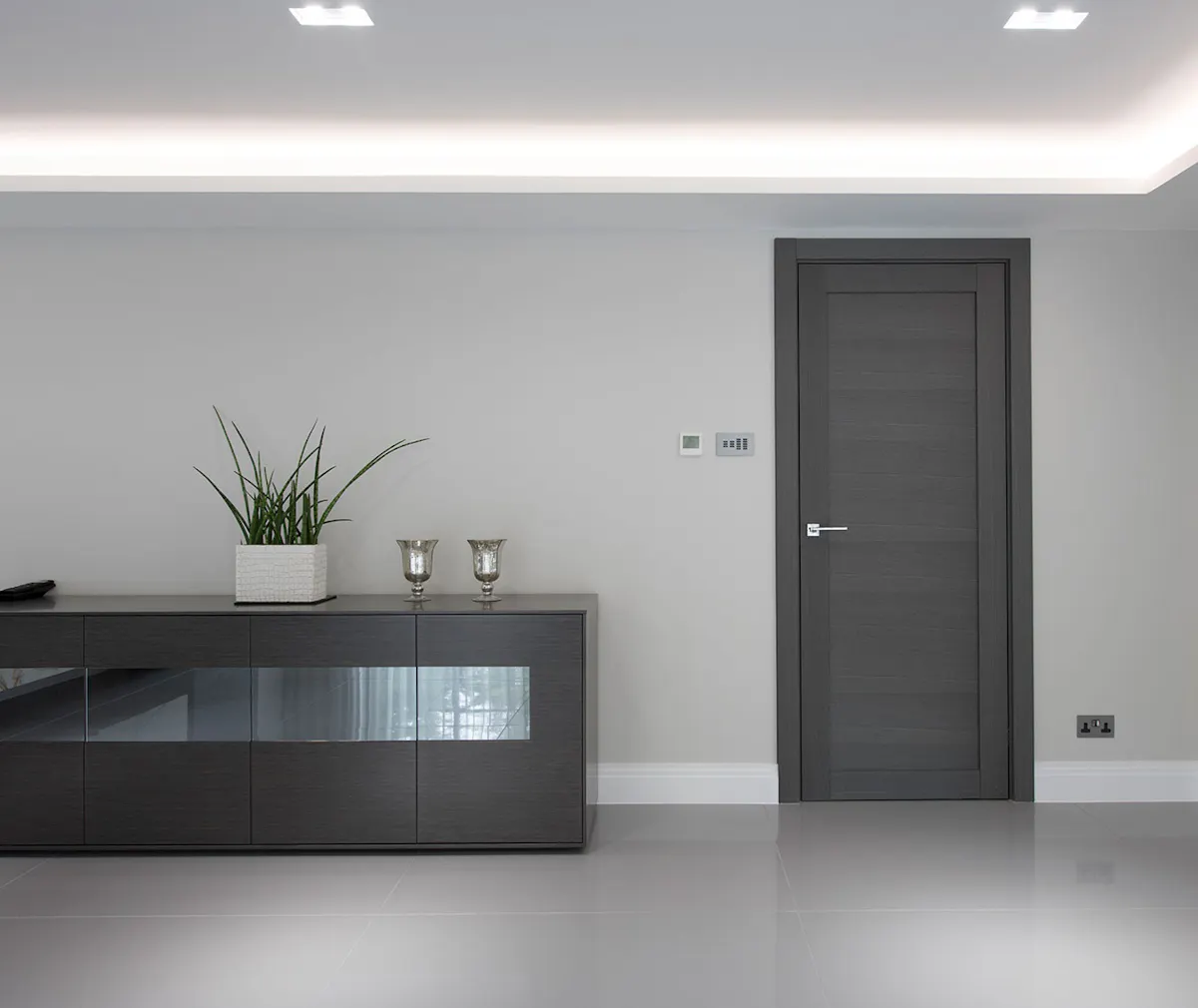 The interior of a modern room with a dark internal door.