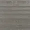 Eucalyptus 26