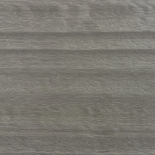 Eucalyptus 26