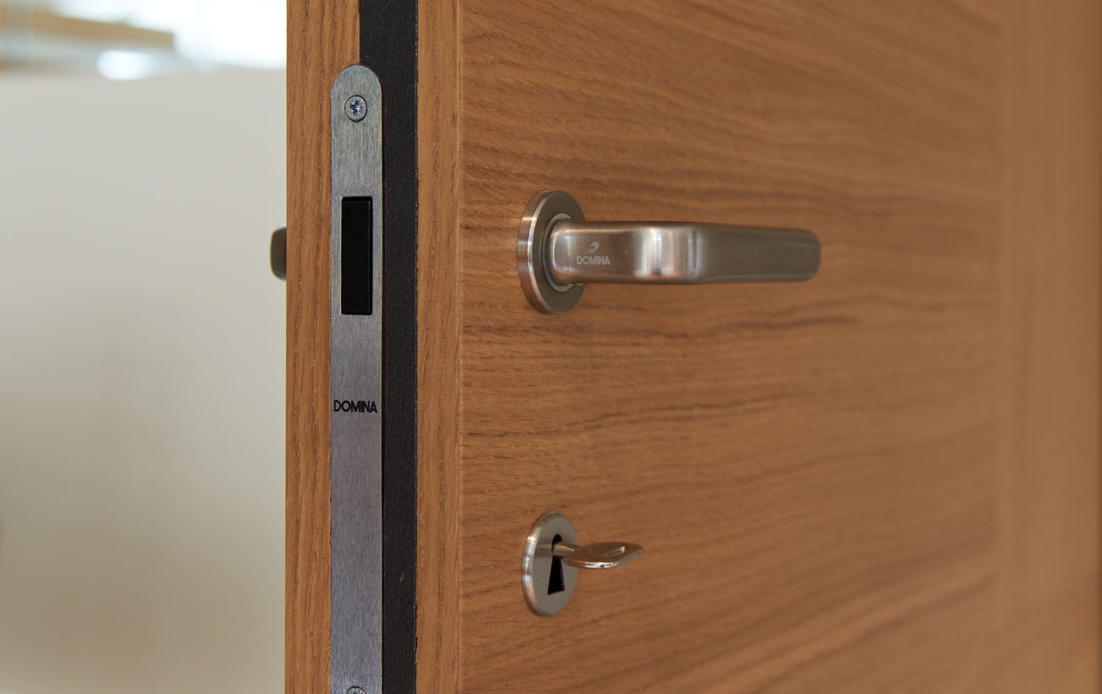 Close up of internal door latch, nickel lever handle and key lock.