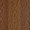 London Plane