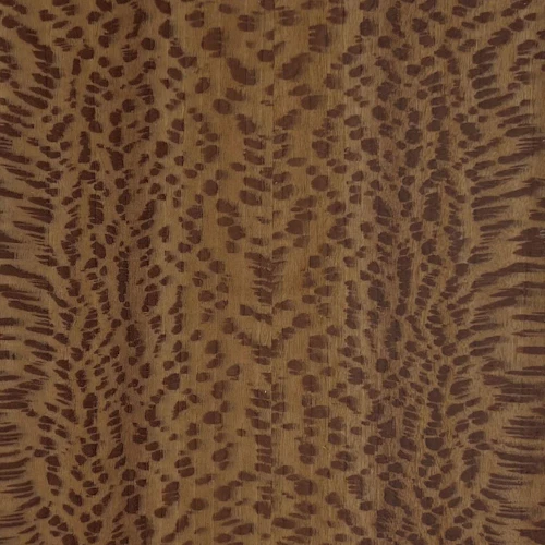 London Plane