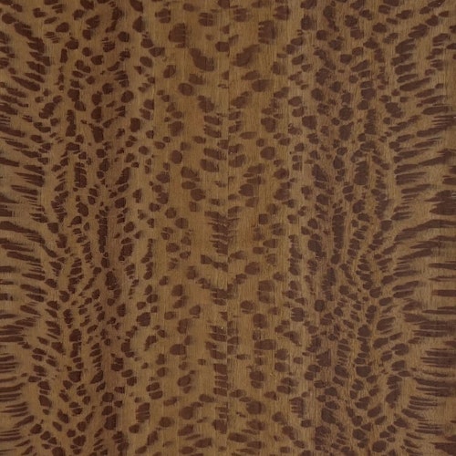 London Plane
