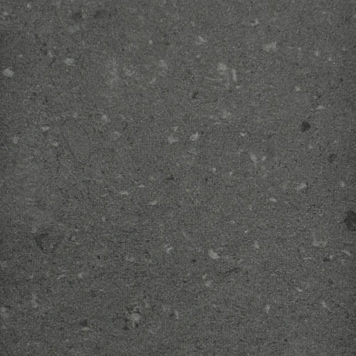 Black Stingray Limestone