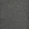 Black Stingray Limestone