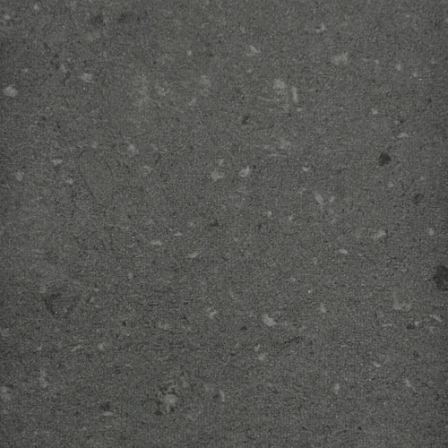Black Stingray Limestone
