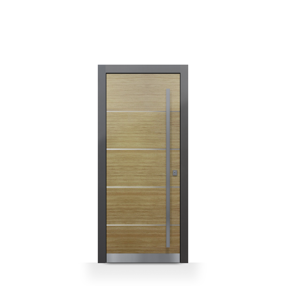 Single hinged door 