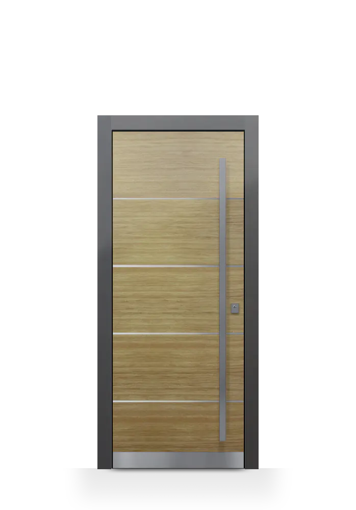 Single hinged door