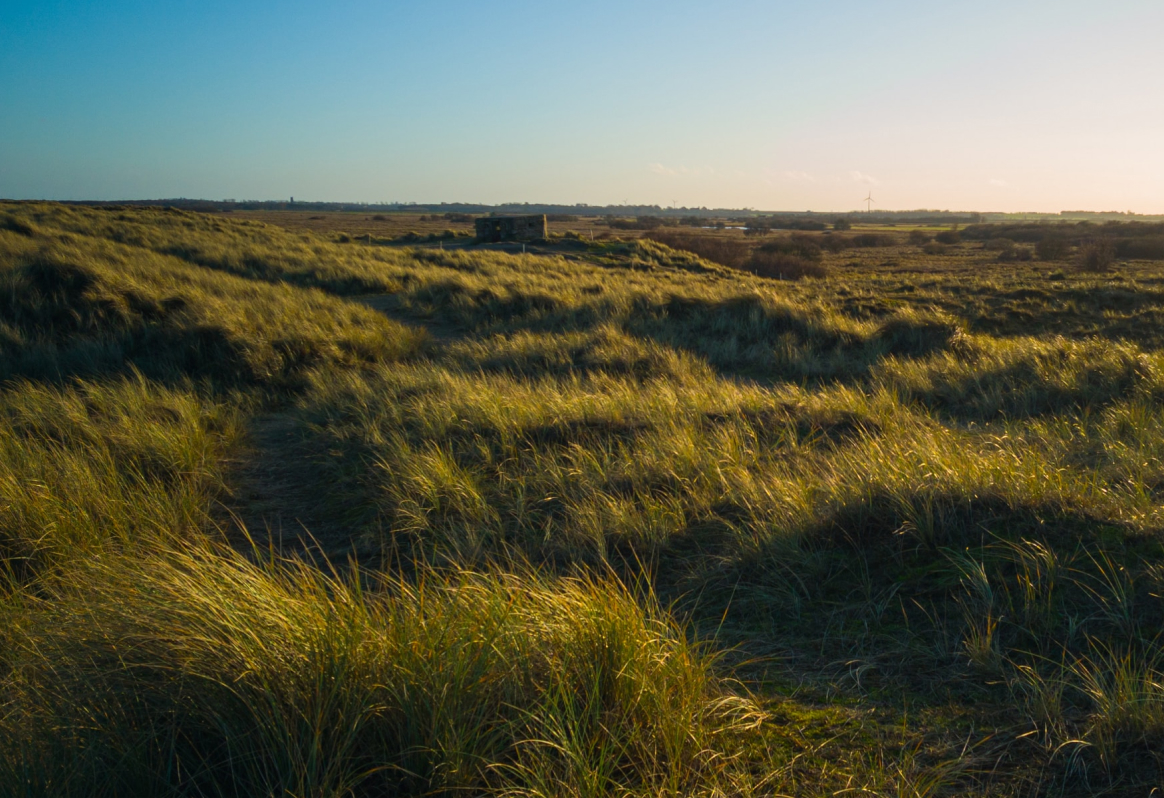 A landscape of the moors