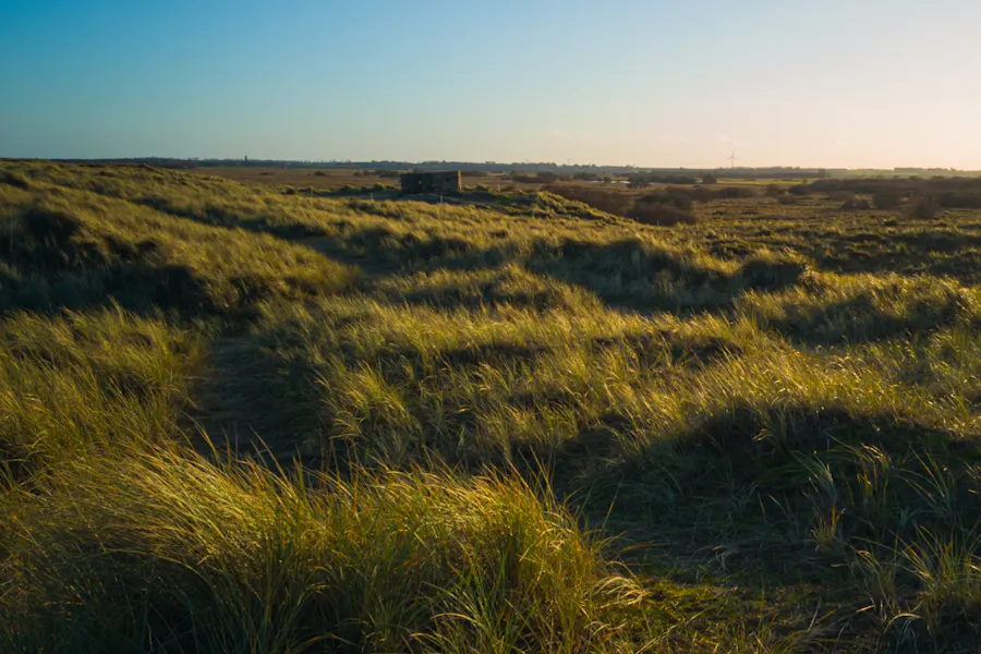 A landscape of the moors