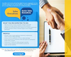 Senior Sales Executive and Sales Executives