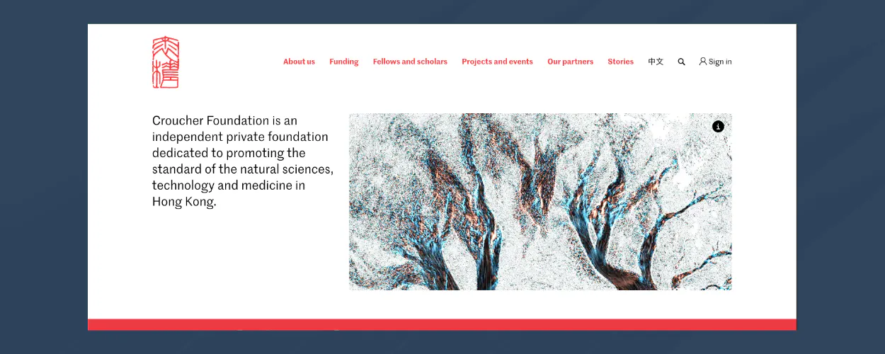 Blog projects