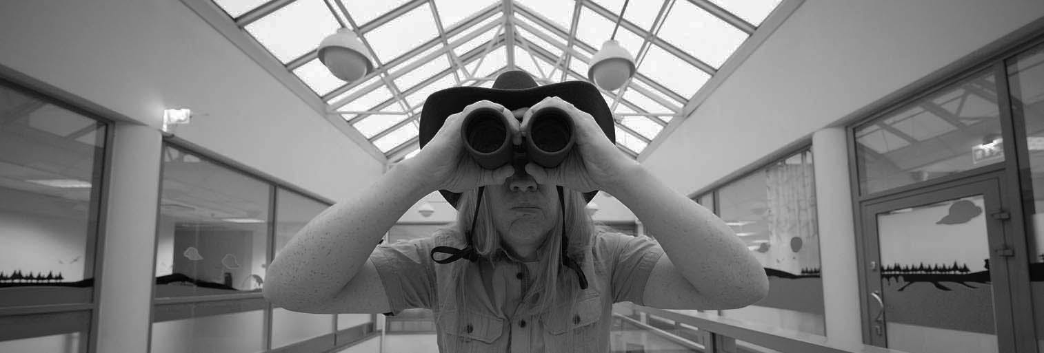 Rari Ikaros looking for new trainees