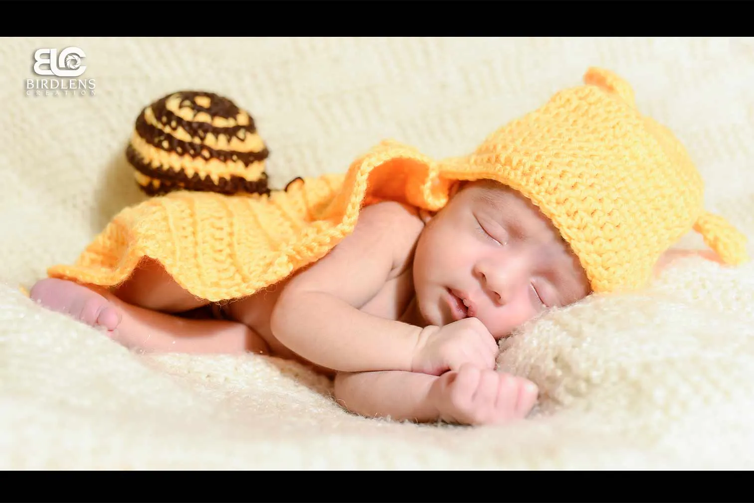 a cute new born baby image captured by birdlens creation - best baby photographer in kolkata, west bengal, india