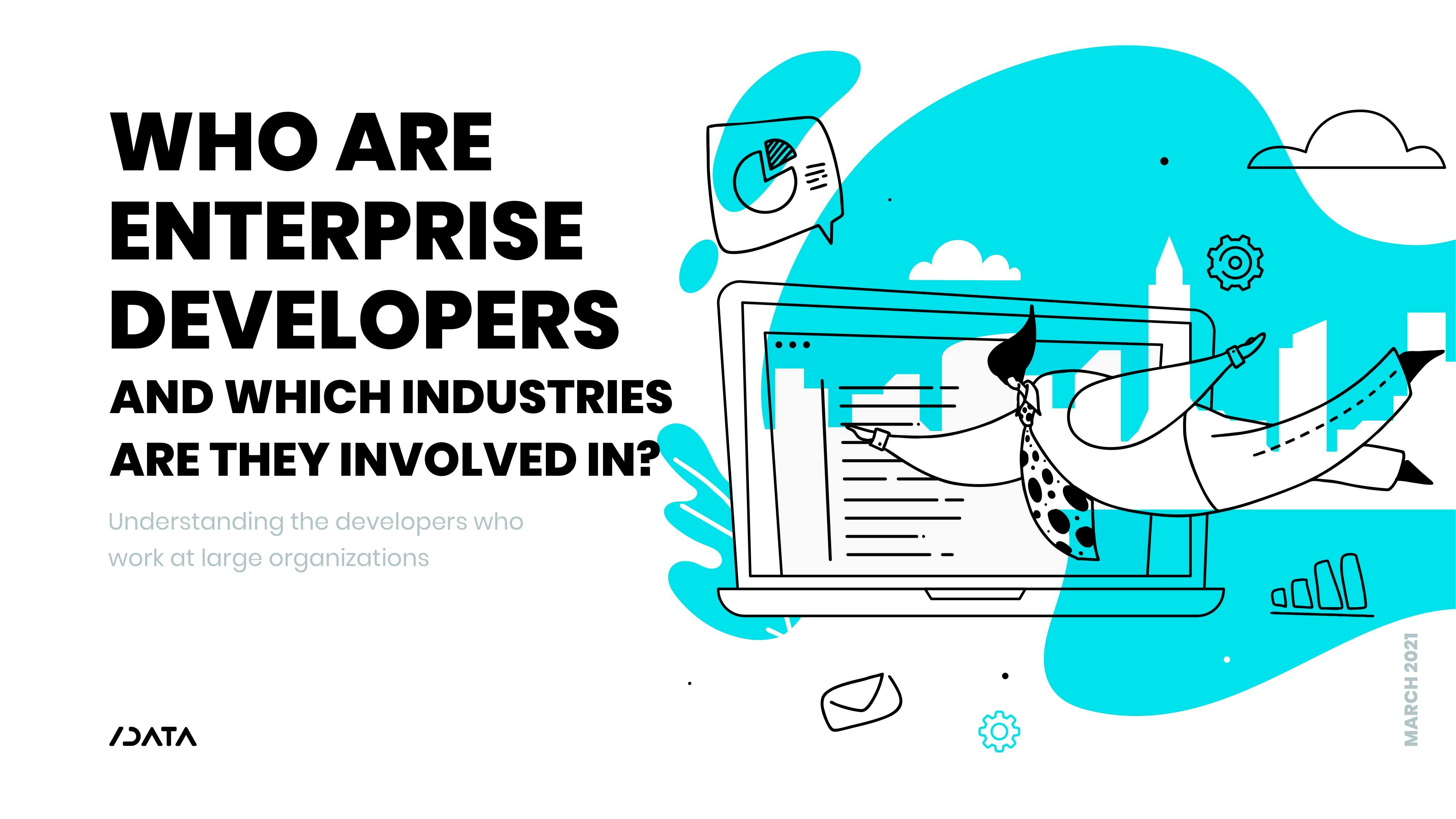 Who are Enterprise Developers? - Q1 2021