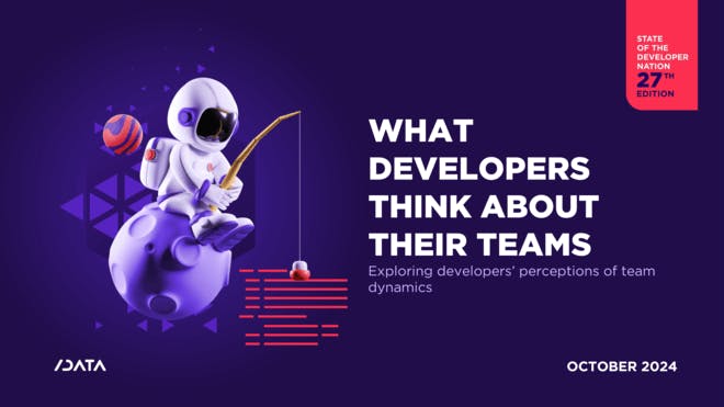 What developers think about their teams