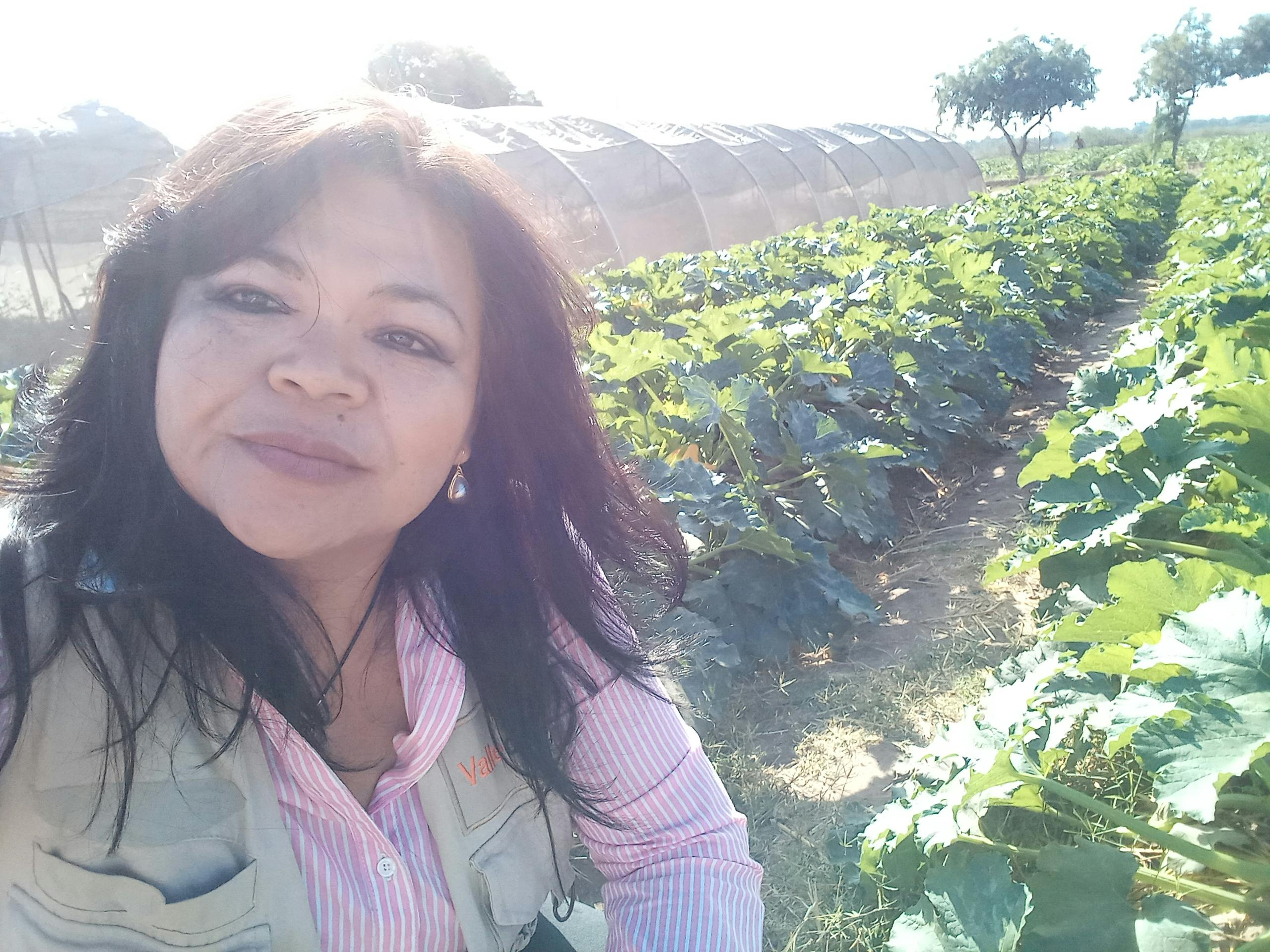 Teresa Gonzalez en un sembradio de calabaza