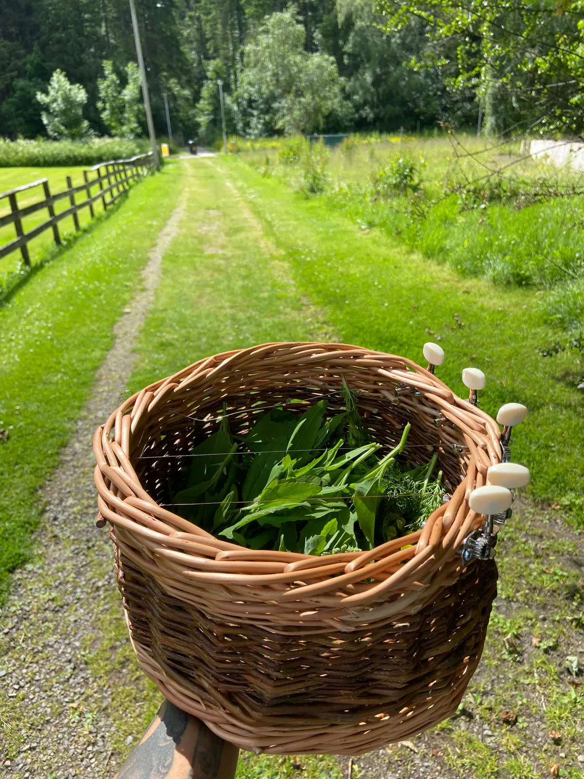 Rah's basket / instrument