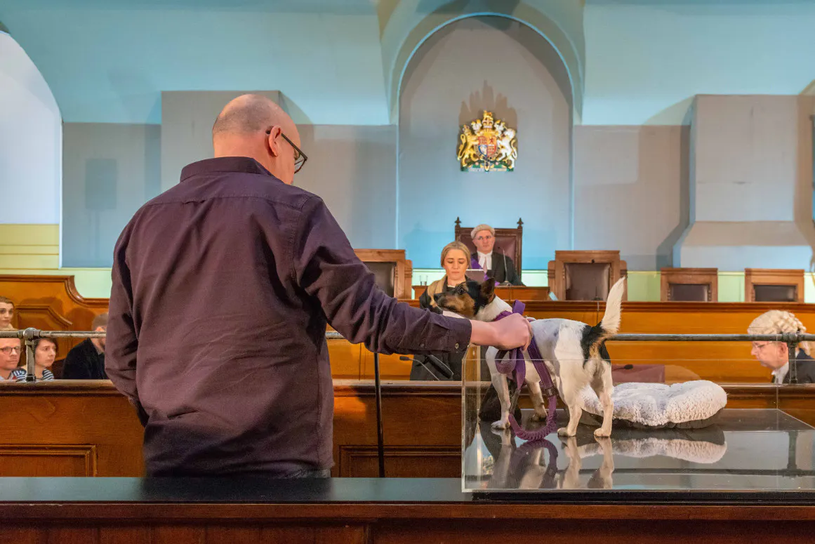 Jack Ky Tan (2018). Four Legs Good; performance, live art, mixed media, installation. Part of Compass Festival 2018. Photo: Lizzie Coombes