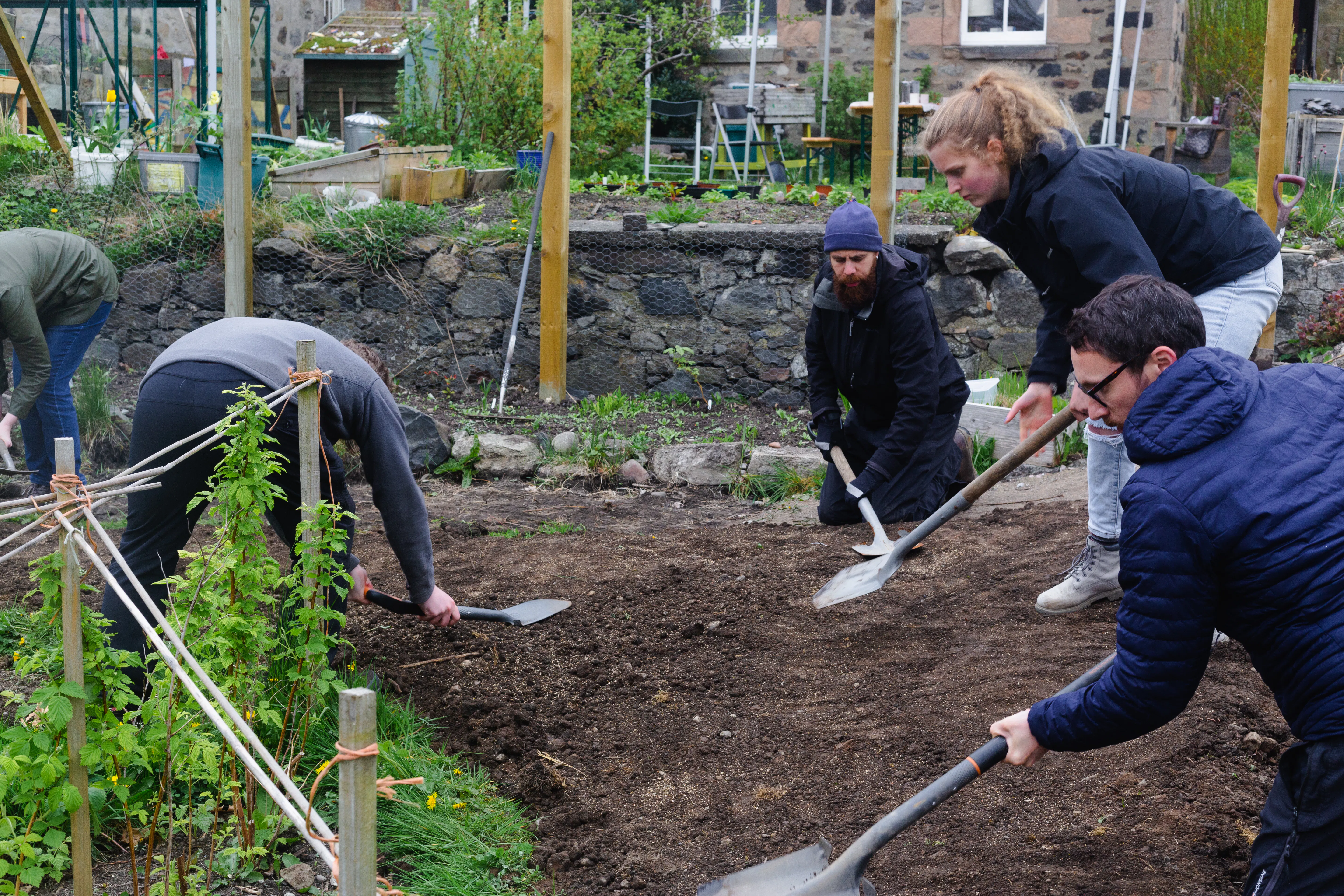 Making a Meadow with David Hunter (2023)
