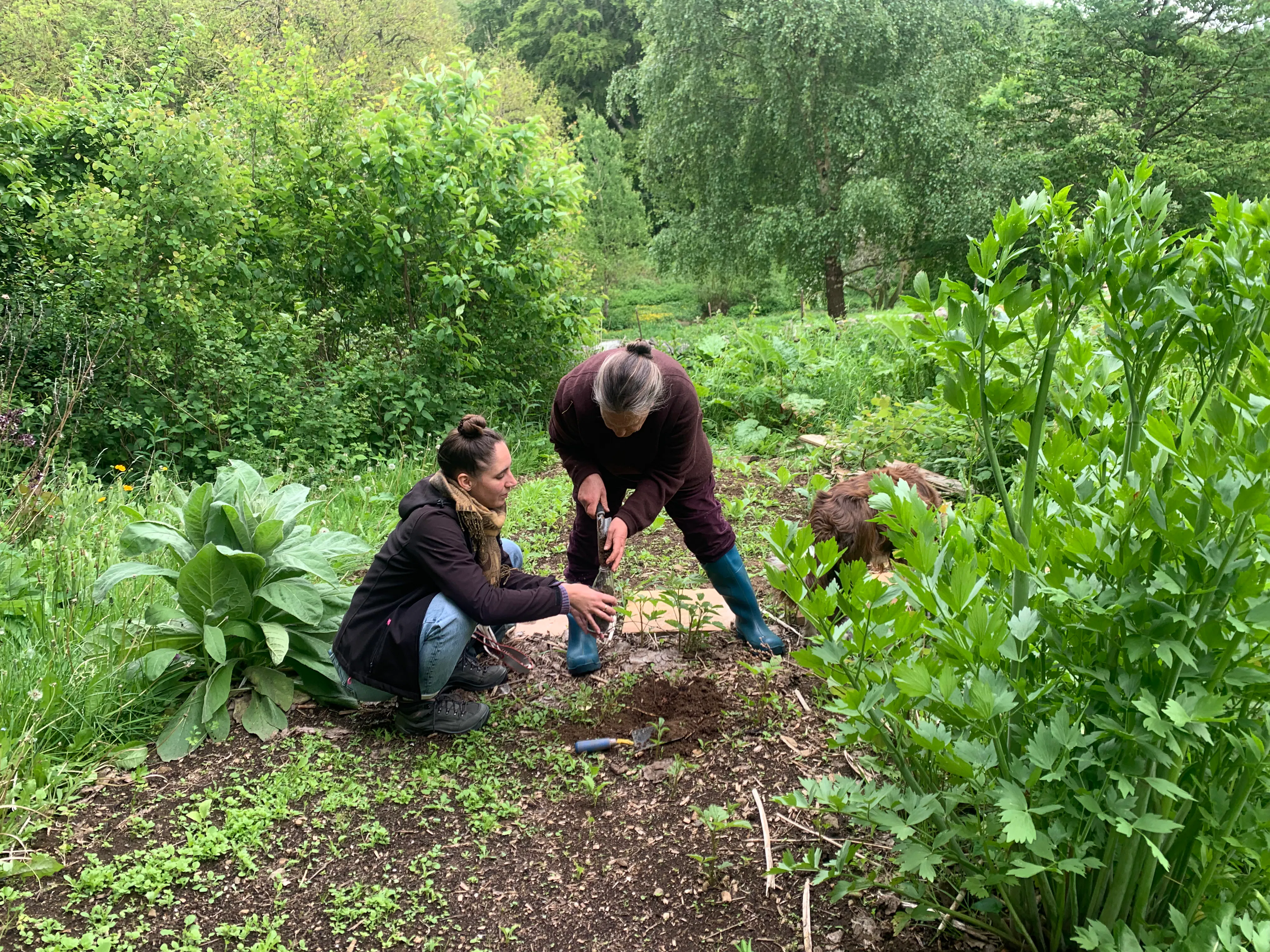 A photo of Rosie Leagas and Margherita Soldati collecting soil from Wantonwells Farm. 