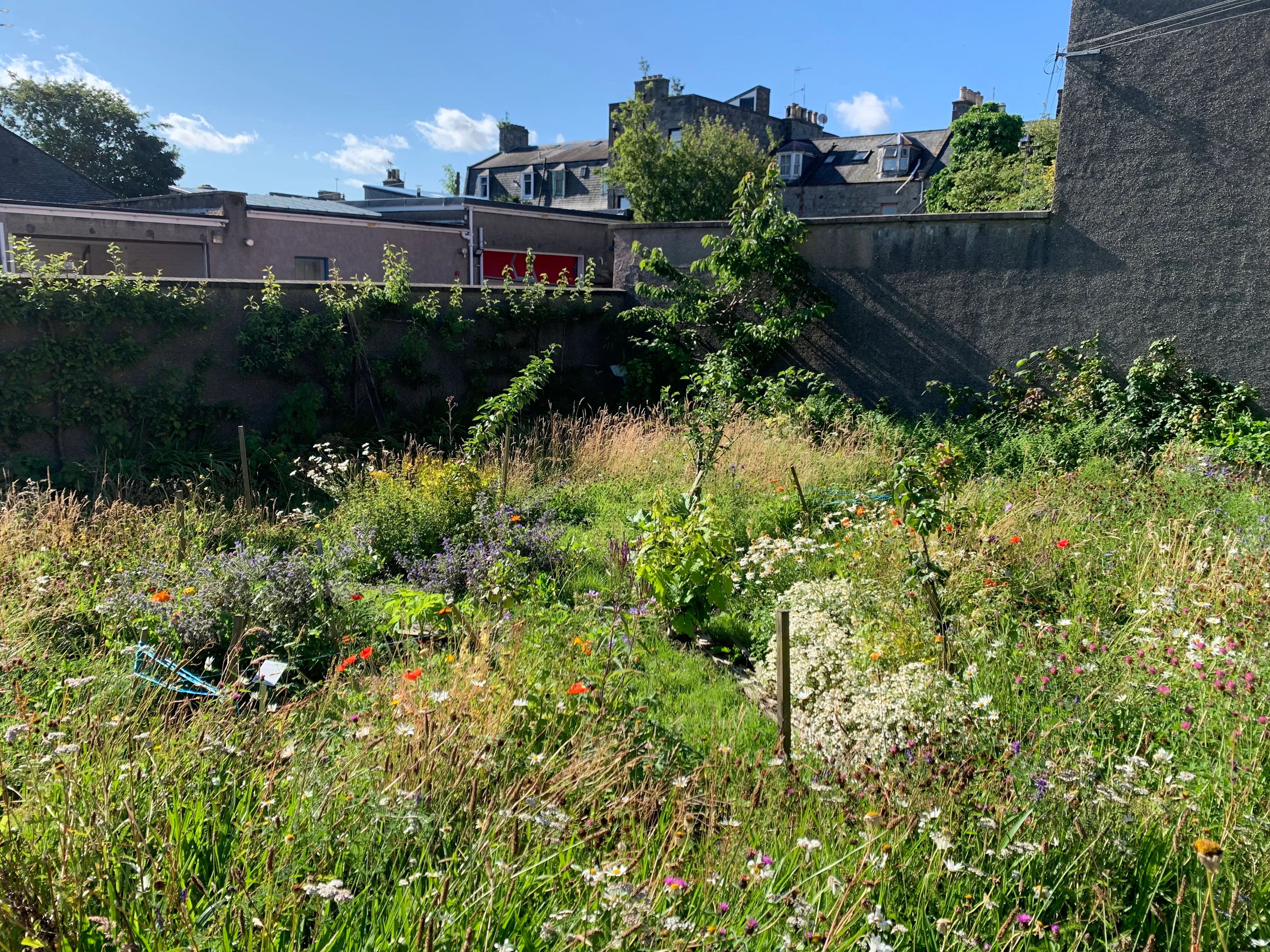 Brander Community Garden orchard