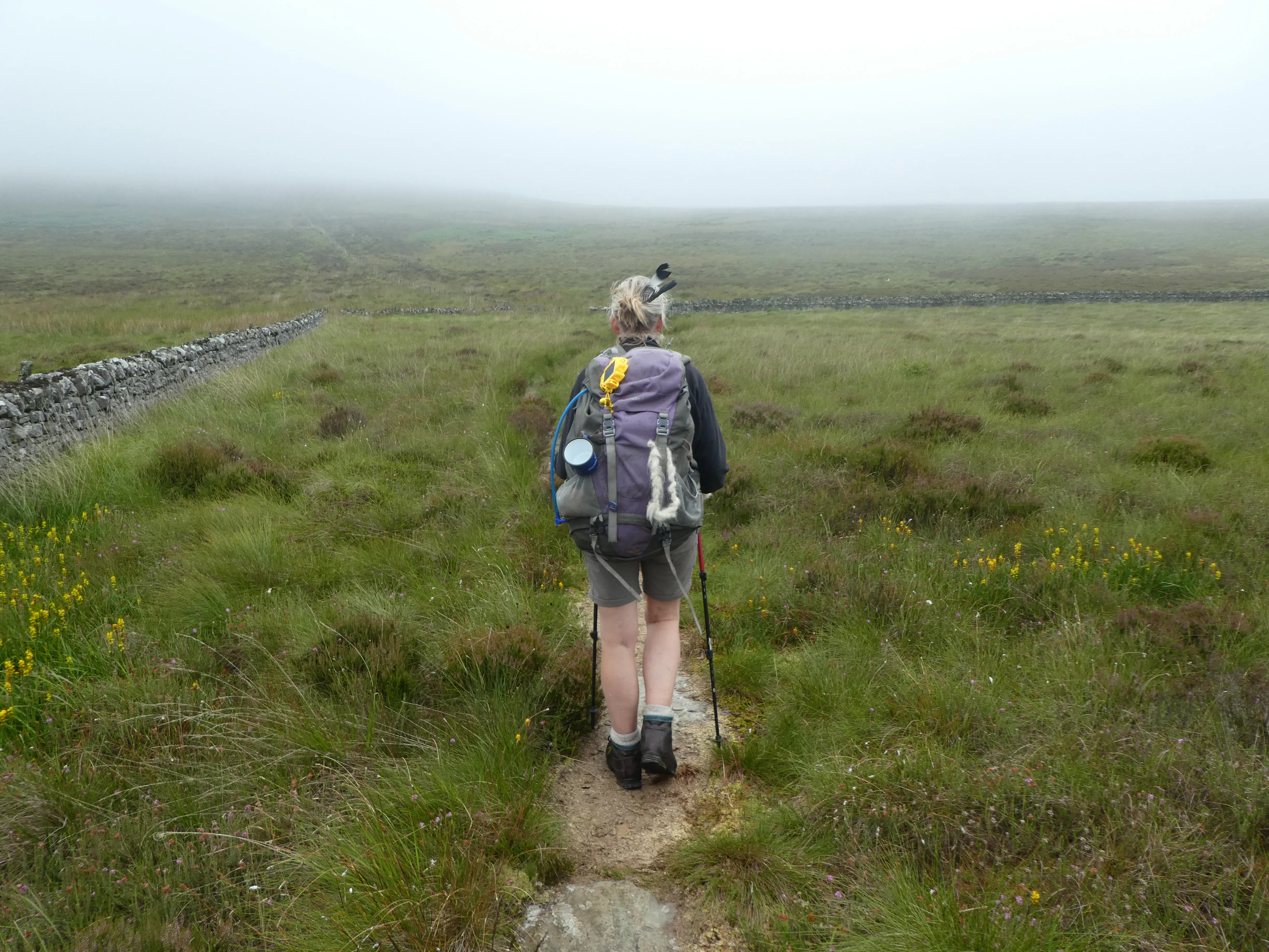 A photo of a person with grey hair and light skin, wearing a hiking rucksack, walking away from the camera. They are walking on a dirt path with grass either side. It's hazy in the distance. 
